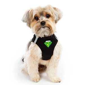 dog airport travel harness